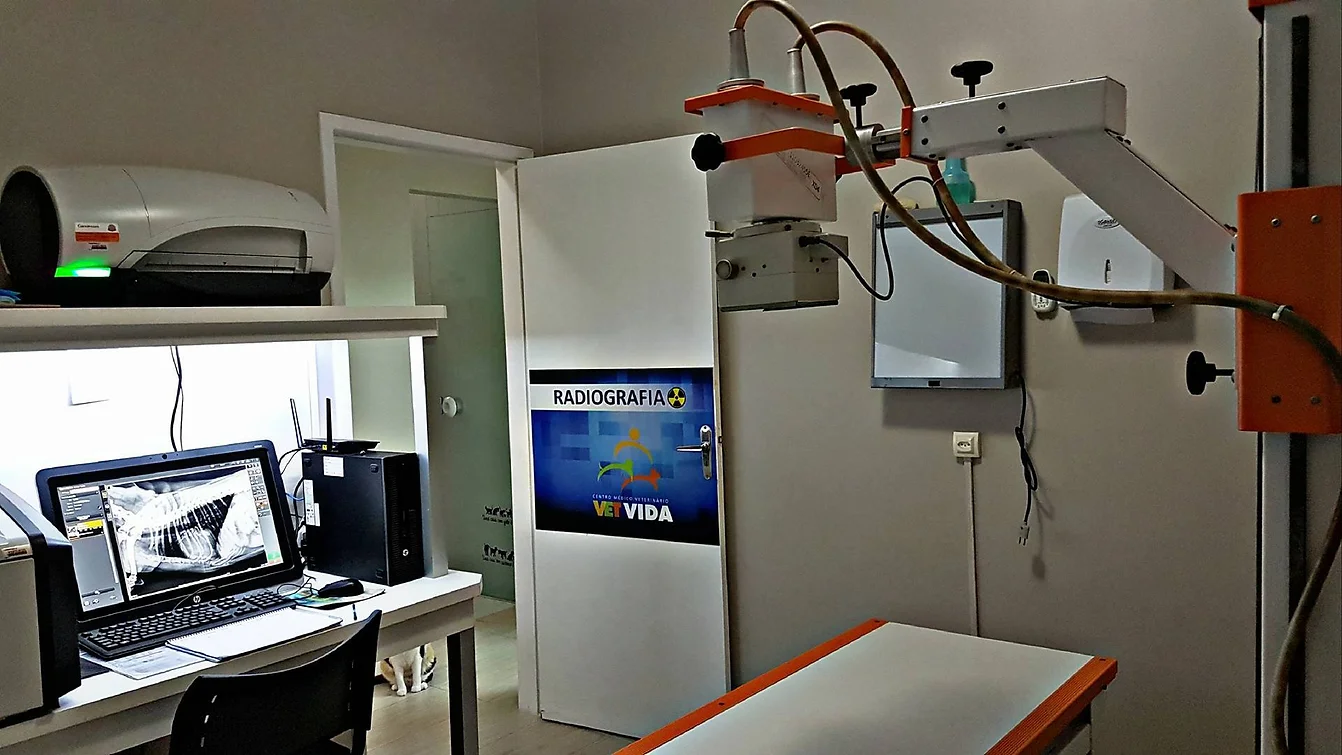 VetVida Kobrasol - Radiografia